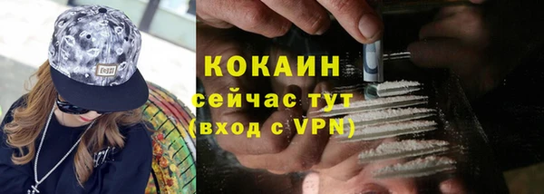 мдпв Кукмор