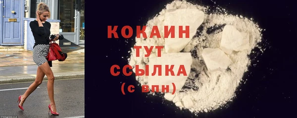 мдпв Кукмор