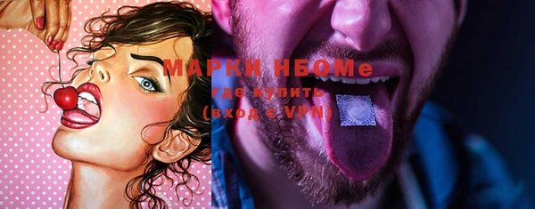 мдпв Кукмор
